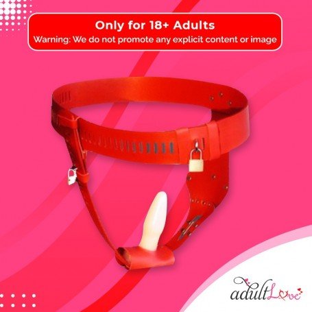 Chastity Lock Device for Women BDSM-002