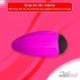 Baile Pretty Love Secret Vibrator with 10 Vibration Modes SV-001