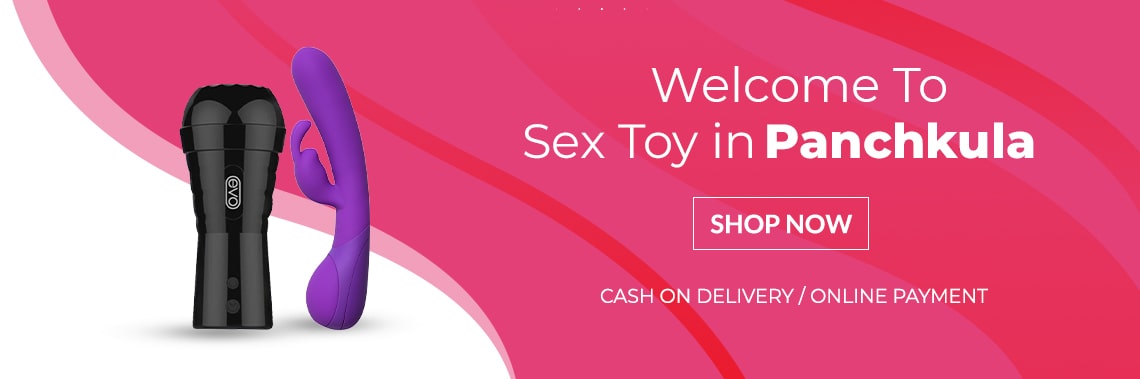 sex toys in Panchkulla